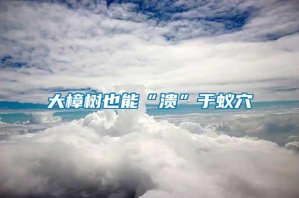 大樟樹(shù)也能“潰”于蟻穴