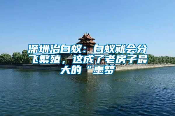 深圳治白蟻：白蟻就會(huì)分飛繁殖，這成了老房子最大的“噩夢(mèng)