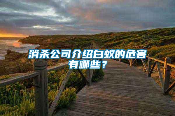 消殺公司介紹白蟻的危害有哪些？