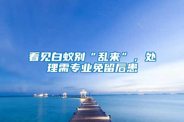 看見白蟻別“亂來”，處理需專業(yè)免留后患