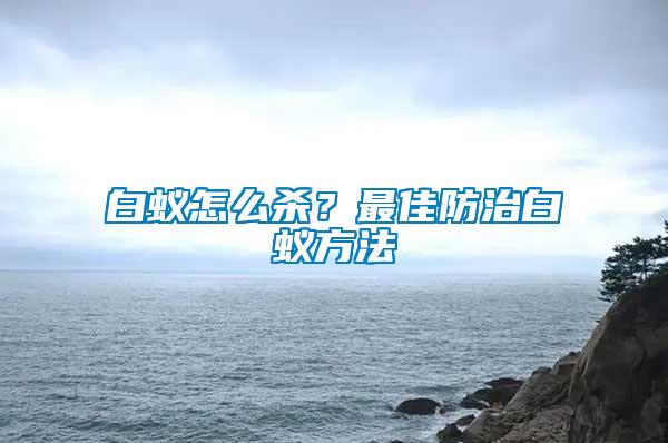 白蟻怎么殺？最佳防治白蟻方法