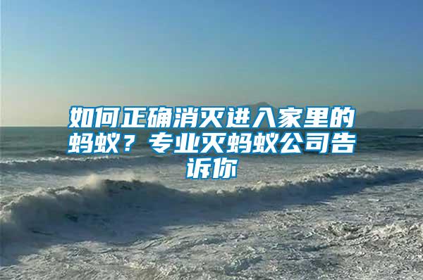 如何正確消滅進(jìn)入家里的螞蟻？專業(yè)滅螞蟻公司告訴你