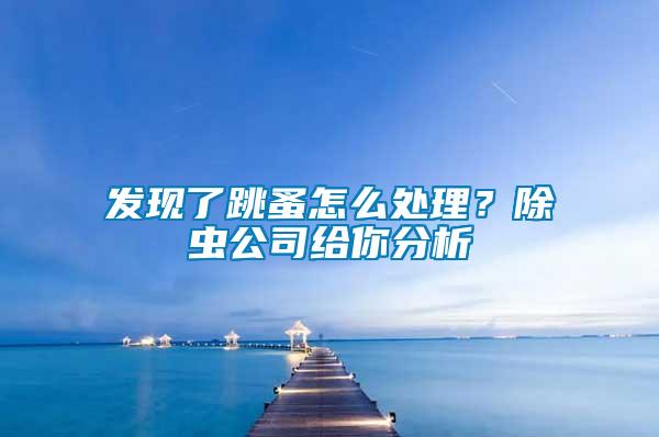 發(fā)現(xiàn)了跳蚤怎么處理？除蟲公司給你分析