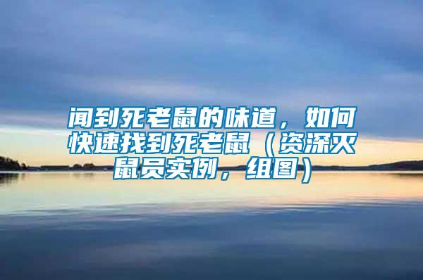 聞到死老鼠的味道，如何快速找到死老鼠（資深滅鼠員實(shí)例，組圖）
