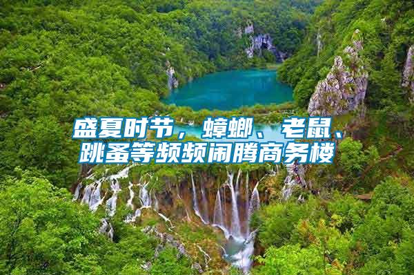 盛夏時節(jié)，蟑螂、老鼠、跳蚤等頻頻鬧騰商務(wù)樓