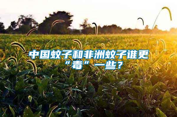 中國蚊子和非洲蚊子誰更“毒”一些？
