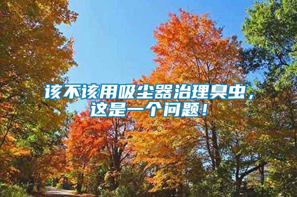 該不該用吸塵器治理臭蟲，這是一個(gè)問題！