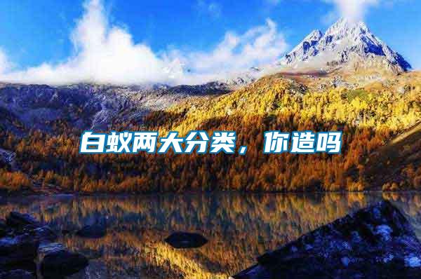 白蟻兩大分類，你造嗎