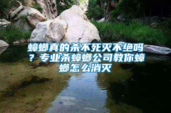 蟑螂真的殺不死滅不絕嗎？專業(yè)殺蟑螂公司教你蟑螂怎么消滅