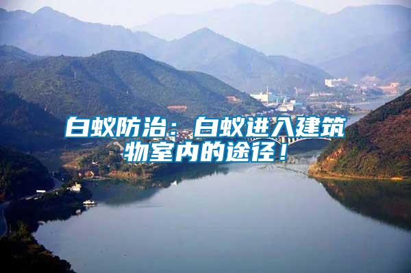白蟻防治：白蟻進(jìn)入建筑物室內(nèi)的途徑！