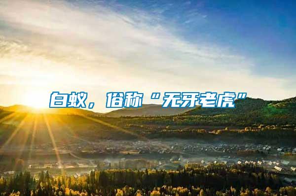 白蟻，俗稱“無牙老虎”