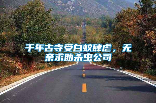 千年古寺受白蟻肆虐，無奈求助殺蟲公司