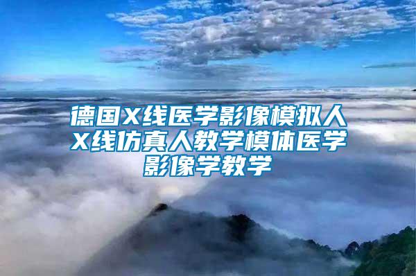 德國(guó)X線醫(yī)學(xué)影像模擬人X線仿真人教學(xué)模體醫(yī)學(xué)影像學(xué)教學(xué)