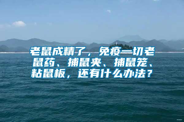 老鼠成精了，免疫一切老鼠藥、捕鼠夾、捕鼠籠、粘鼠板，還有什么辦法？