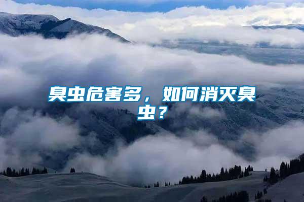 臭蟲危害多，如何消滅臭蟲？