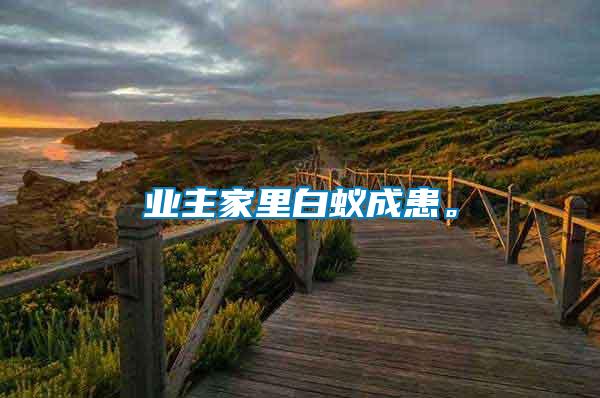 業(yè)主家里白蟻成患。