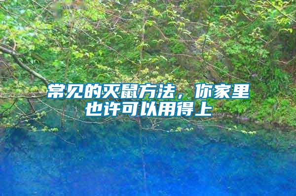 常見(jiàn)的滅鼠方法，你家里也許可以用得上
