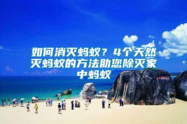 如何消滅螞蟻？4個(gè)天然滅螞蟻的方法助您除滅家中螞蟻