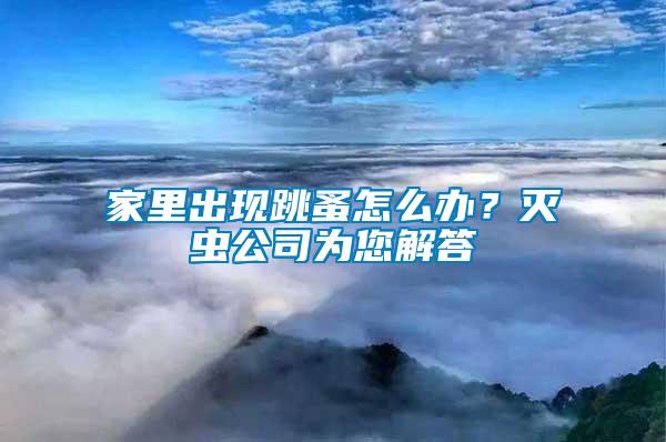 家里出現(xiàn)跳蚤怎么辦？滅蟲公司為您解答