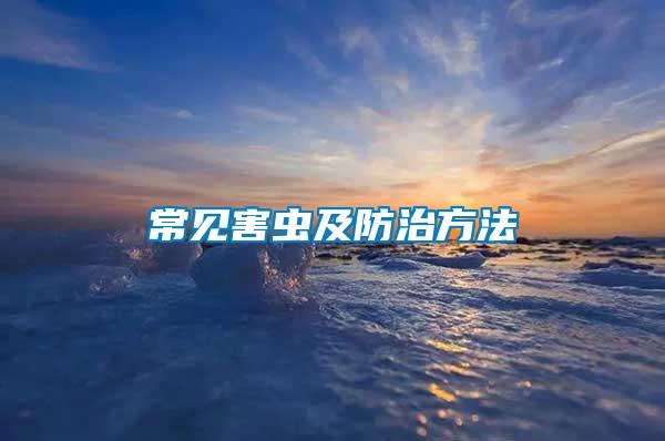 常見(jiàn)害蟲(chóng)及防治方法