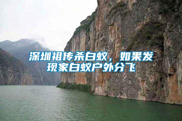 深圳祖?zhèn)鳉紫?，如果發(fā)現(xiàn)家白蟻戶外分飛