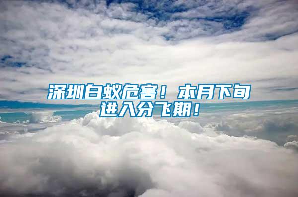 深圳白蟻危害！本月下旬進(jìn)入分飛期！