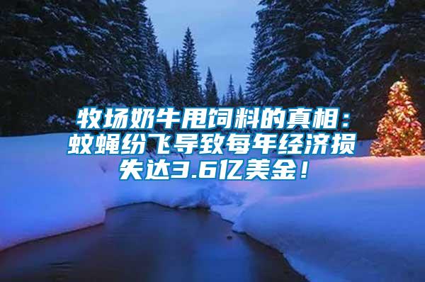 牧場奶牛甩飼料的真相：蚊蠅紛飛導(dǎo)致每年經(jīng)濟損失達3.6億美金！