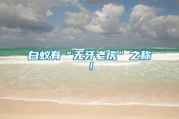 白蟻有“無牙老虎”之稱！