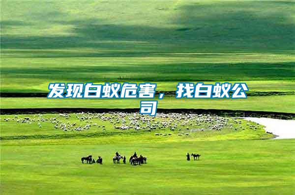 發(fā)現(xiàn)白蟻危害，找白蟻公司