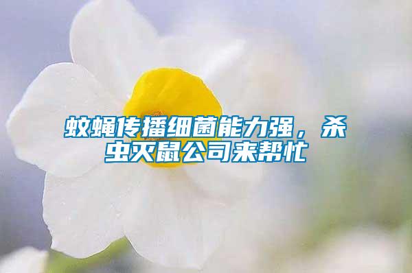 蚊蠅傳播細菌能力強，殺蟲滅鼠公司來幫忙