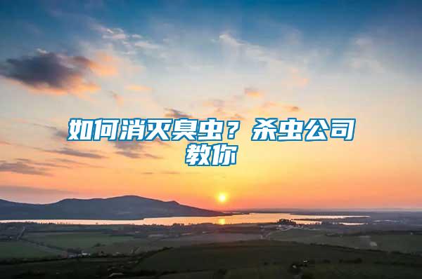 如何消滅臭蟲？殺蟲公司教你