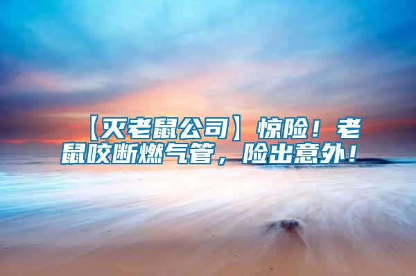 【滅老鼠公司】驚險(xiǎn)！老鼠咬斷燃?xì)夤?，險(xiǎn)出意外！