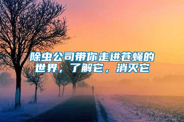 除蟲公司帶你走進蒼蠅的世界，了解它，消滅它