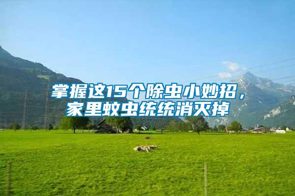 掌握這15個除蟲小妙招，家里蚊蟲統(tǒng)統(tǒng)消滅掉