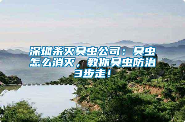 深圳殺滅臭蟲公司：臭蟲怎么消滅，教你臭蟲防治3步走！