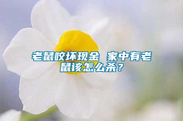 老鼠咬壞現(xiàn)金 家中有老鼠該怎么殺？