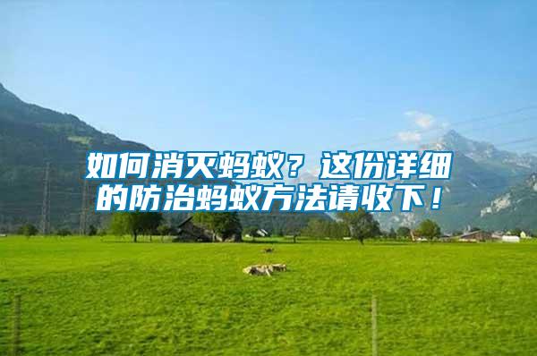 如何消滅螞蟻？這份詳細的防治螞蟻方法請收下！