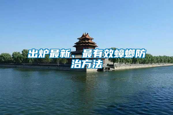 出爐最新、最有效蟑螂防治方法