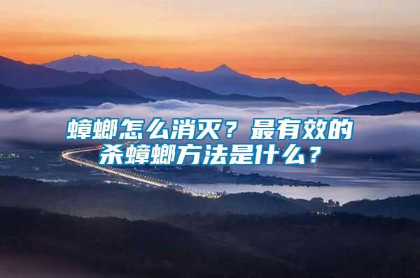 蟑螂怎么消滅？最有效的殺蟑螂方法是什么？