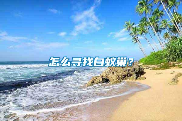 怎么尋找白蟻巢？