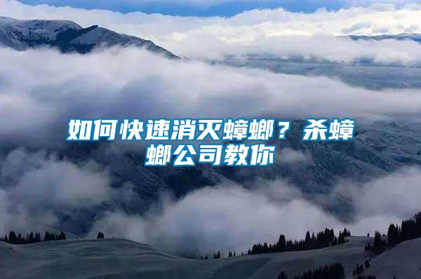 如何快速消滅蟑螂？殺蟑螂公司教你