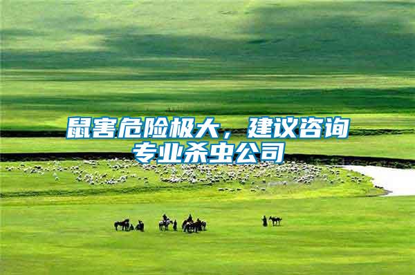鼠害危險極大，建議咨詢專業(yè)殺蟲公司