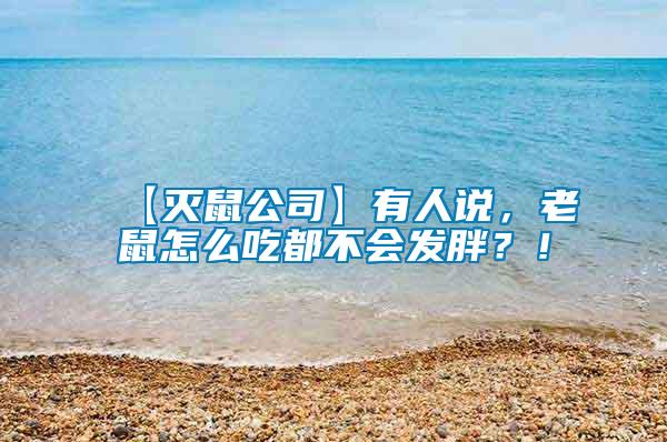 【滅鼠公司】有人說，老鼠怎么吃都不會(huì)發(fā)胖？！