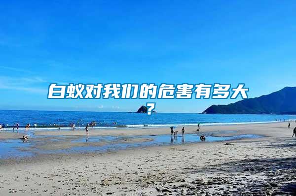 白蟻對我們的危害有多大？