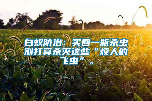 白蟻防治：買回一瓶殺蟲劑打算殺滅這些“煩人的飛蟲”。