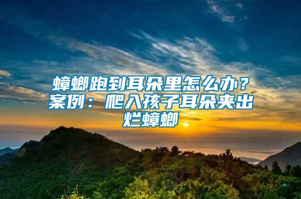 蟑螂跑到耳朵里怎么辦？案例：爬入孩子耳朵夾出爛蟑螂