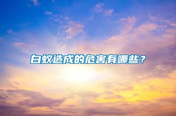 白蟻造成的危害有哪些？