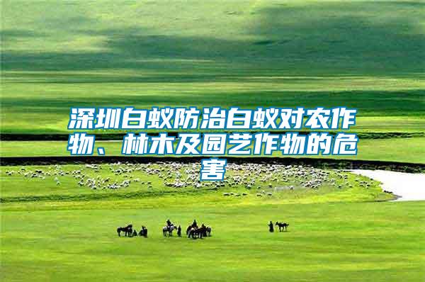 深圳白蟻防治白蟻對(duì)農(nóng)作物、林木及園藝作物的危害