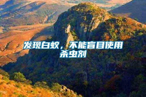 發(fā)現(xiàn)白蟻，不能盲目使用殺蟲劑