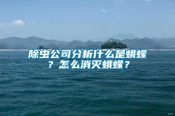 除蟲(chóng)公司分析什么是蛾蠓？怎么消滅蛾蠓？